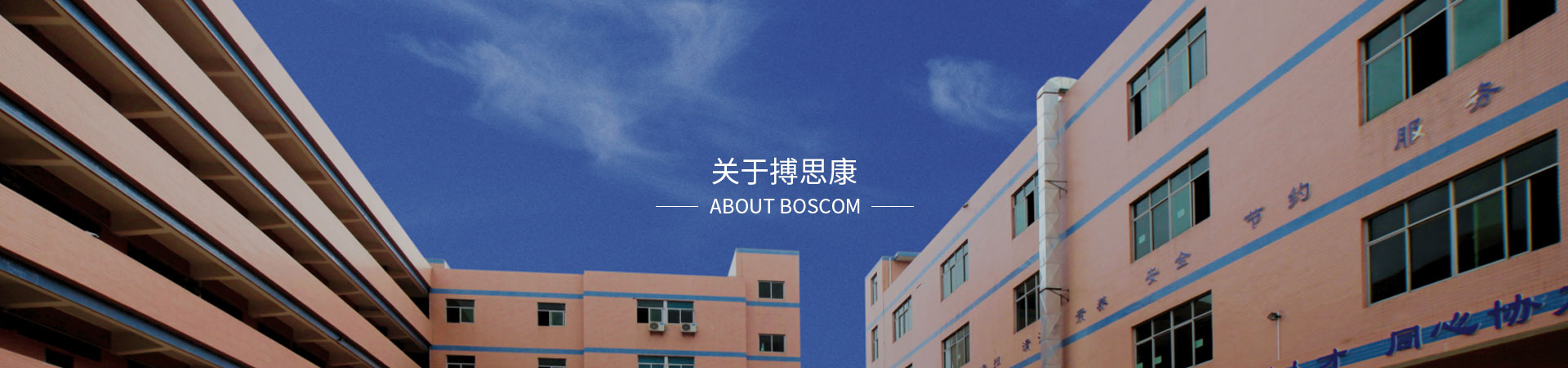 關(guān)于搏思康